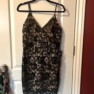 Black lace over nude. Brand new dress.